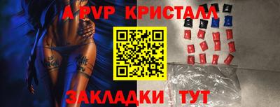 a pvp Кингисепп