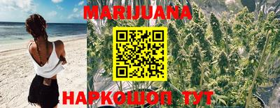 a pvp Кингисепп