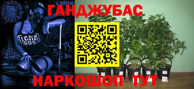 стафф Кинель