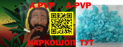 a pvp Кингисепп