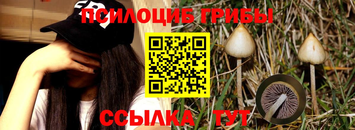 Галлюциногенные грибы ЛСД Кувандык