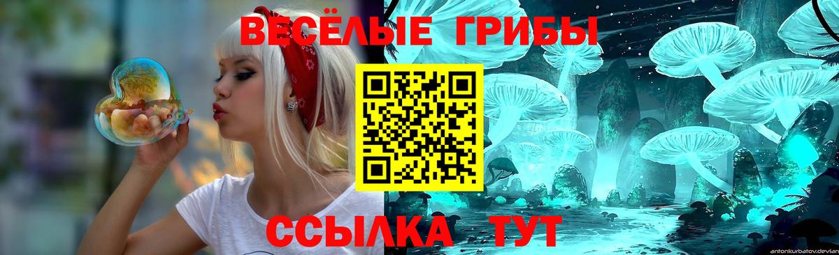 Галлюциногенные грибы Cubensis  Вход с VPN  магазин продажи   Кувандык 